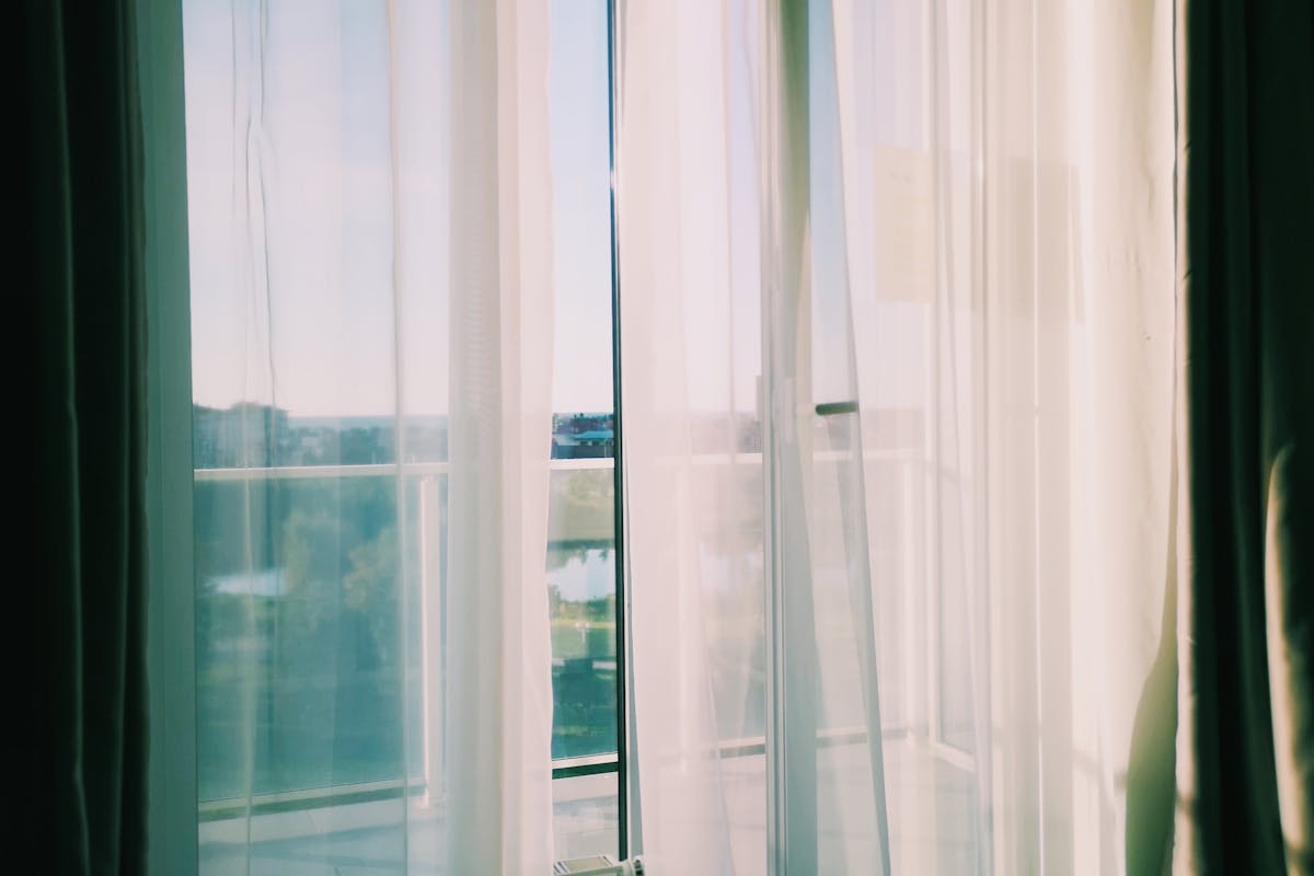 Plants and clean indoor air quality in a Maryland home