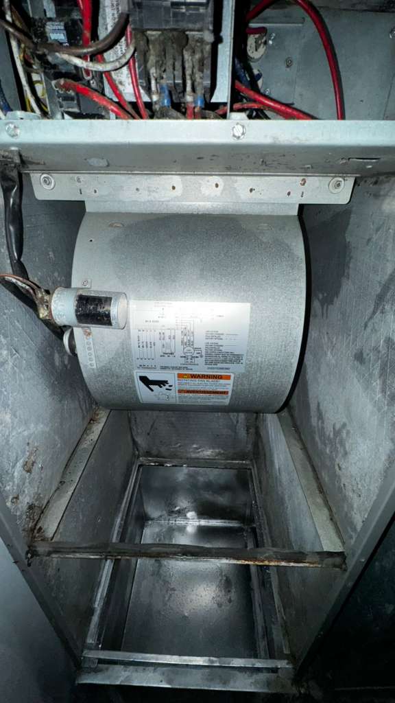 Inside a Maryland home duct trunk before Eagle cleaning — dust, debris and webs visible