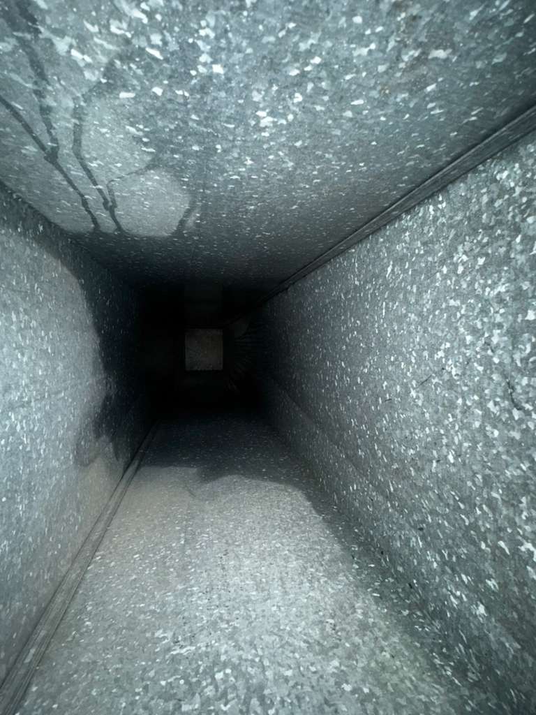 Air handler opened and blower cleaned by Eagle — the step most Maryland duct companies skip